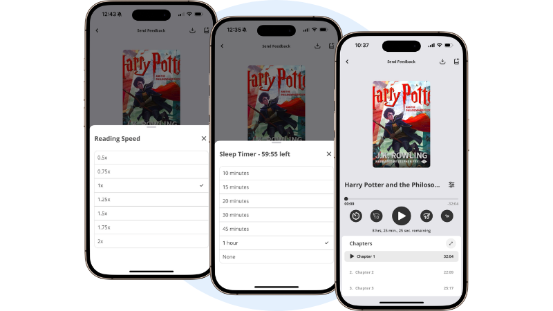 eplatform-literacy-support-features-audiobook-settings